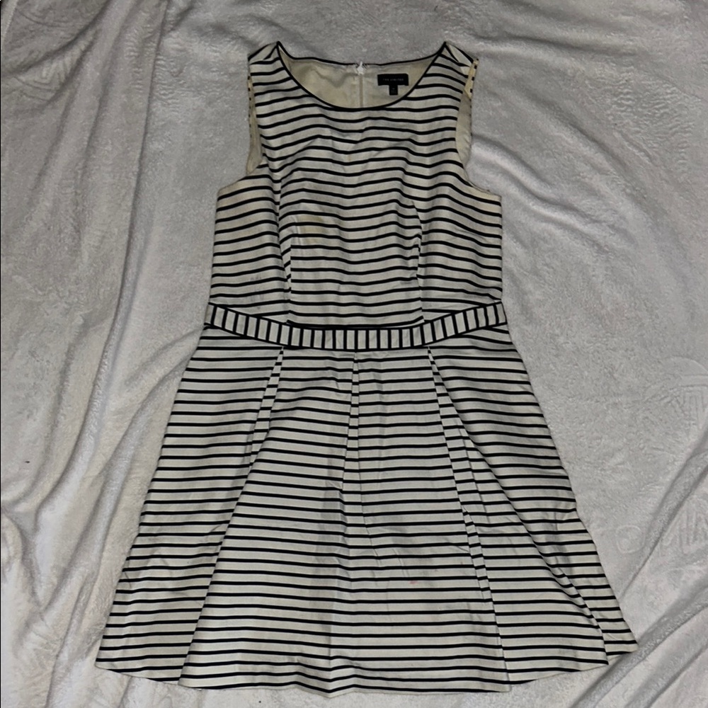 White and Navy Sleeveless A-line Mini Dress